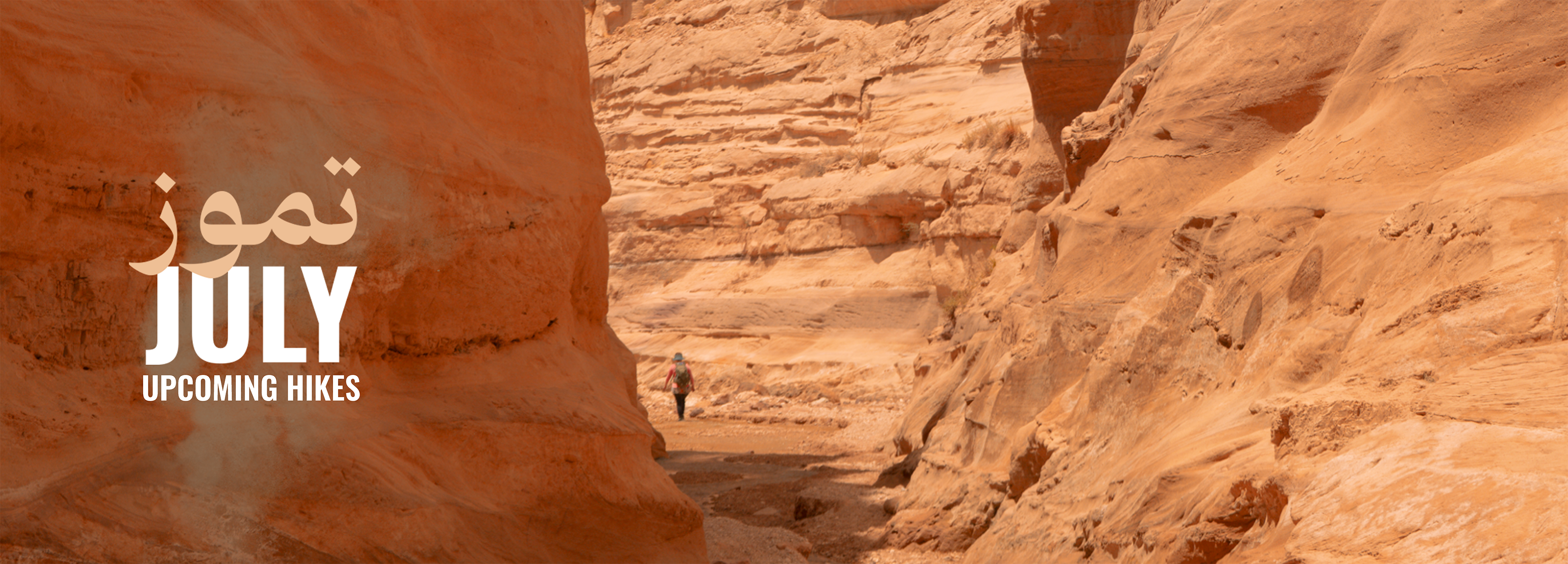 UPCOMING HIKES