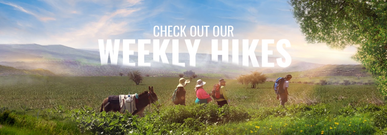 Up Coming Hikes